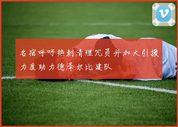 名宿呼吁热刺清理冗员并加大引援力度助力德泽尔比建队